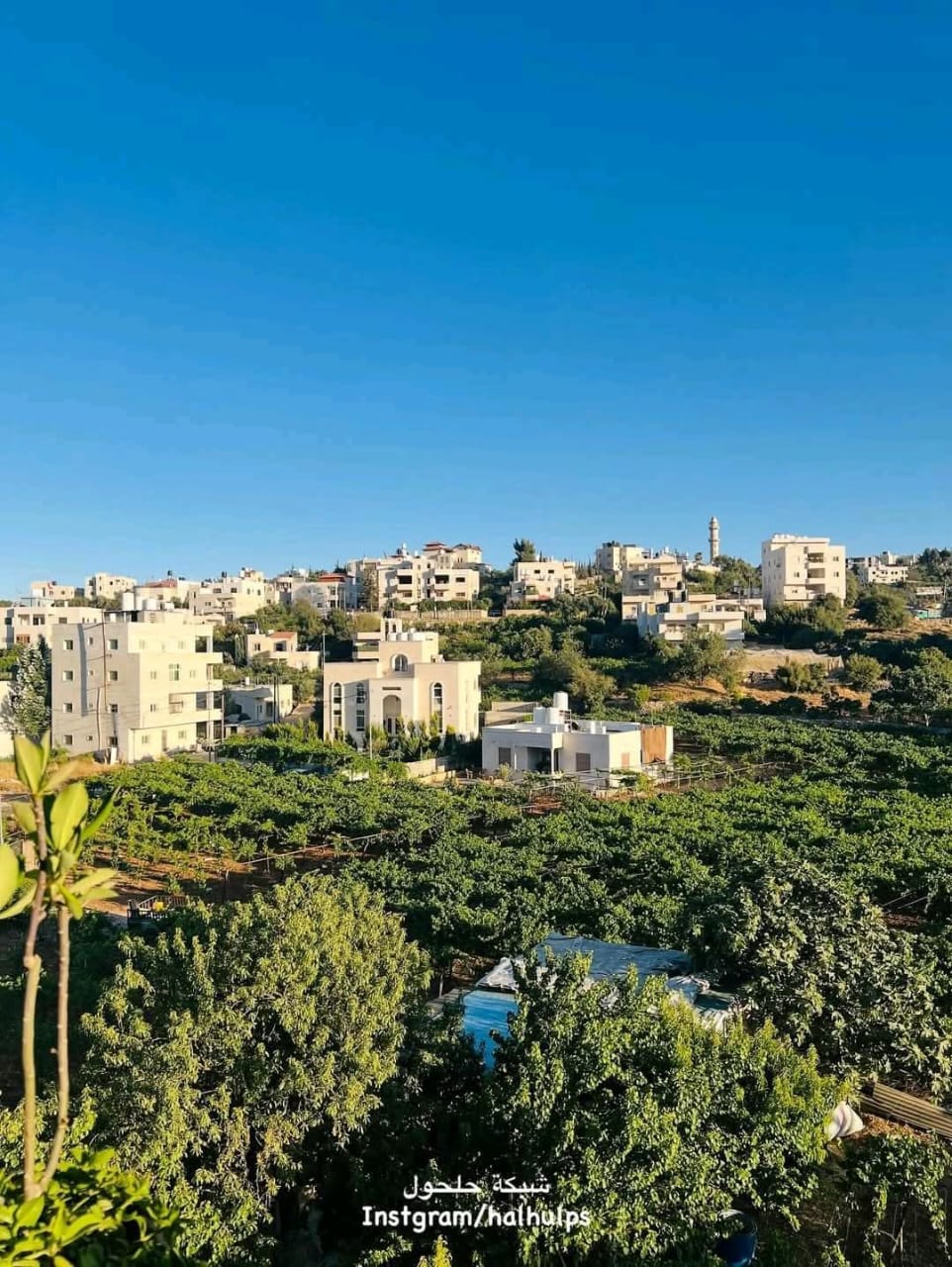 الخليل | موسوعة القرى الفلسطينية